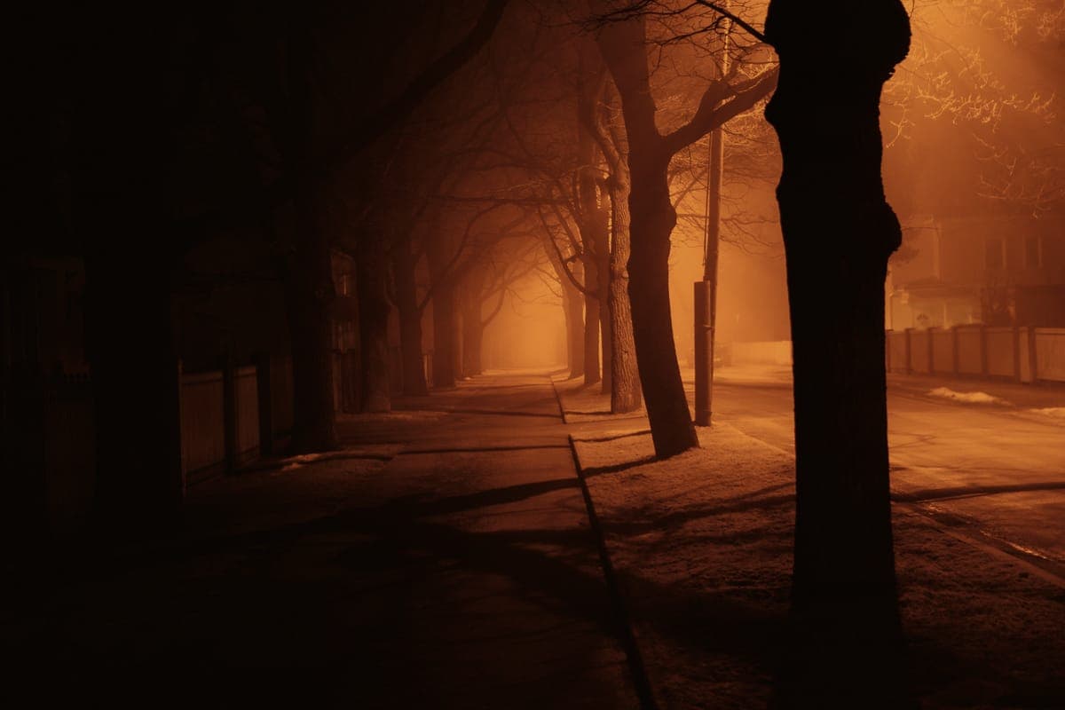 A village sidewalk at night under bare trees, fog lit amber by the street lamps.