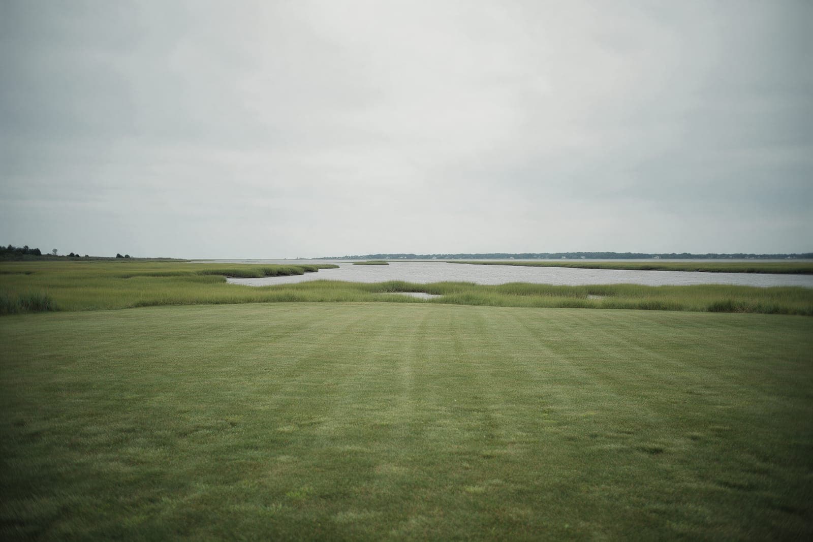 Creekside: a flat lawn running down to a salt marsh and a tidal creek.
