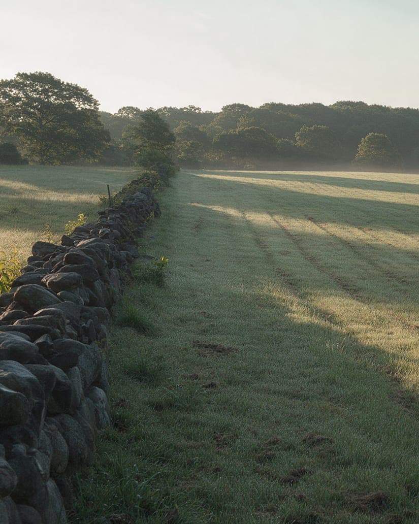 The dry-stone wall along the north line of Harbor Hill Meadow.