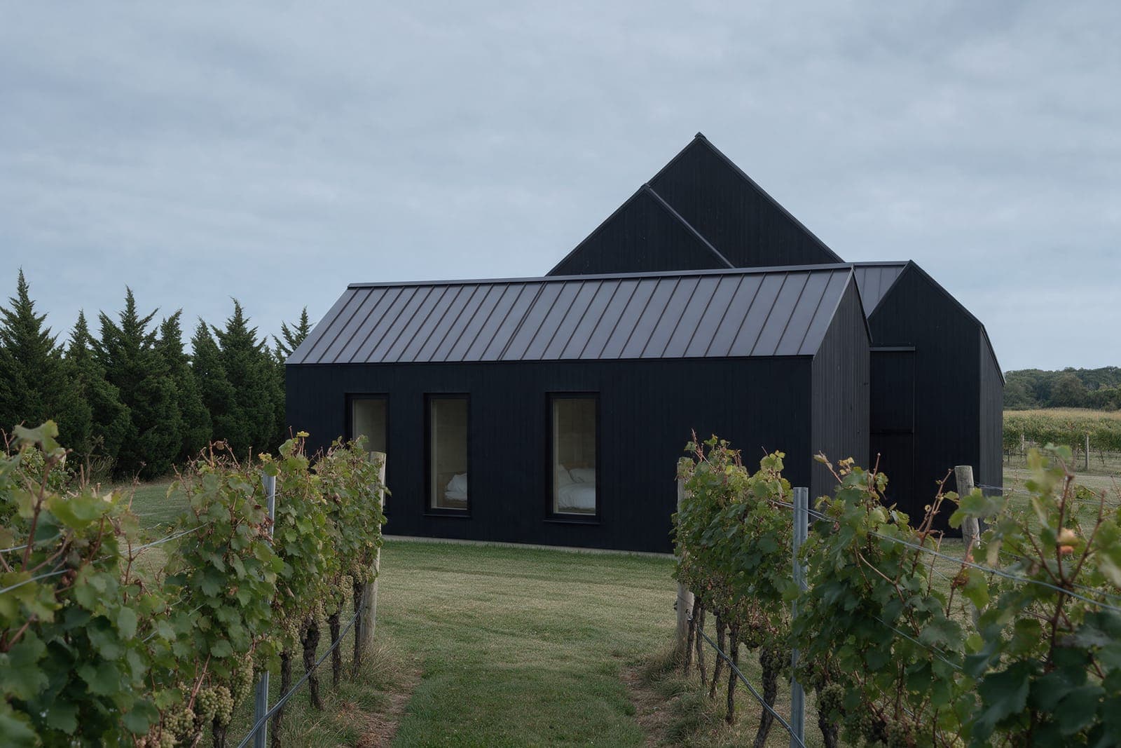 The bedroom wing of the Vineyard Barn House: black-stained boards, a charcoal standing-seam roof and three tall windows, the barn gable behind and vine rows in front.