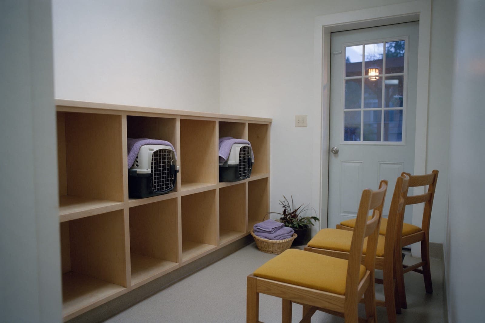 The cat lobby: carrier cubbies at hip height, three chairs, and the side door with the lantern outside.