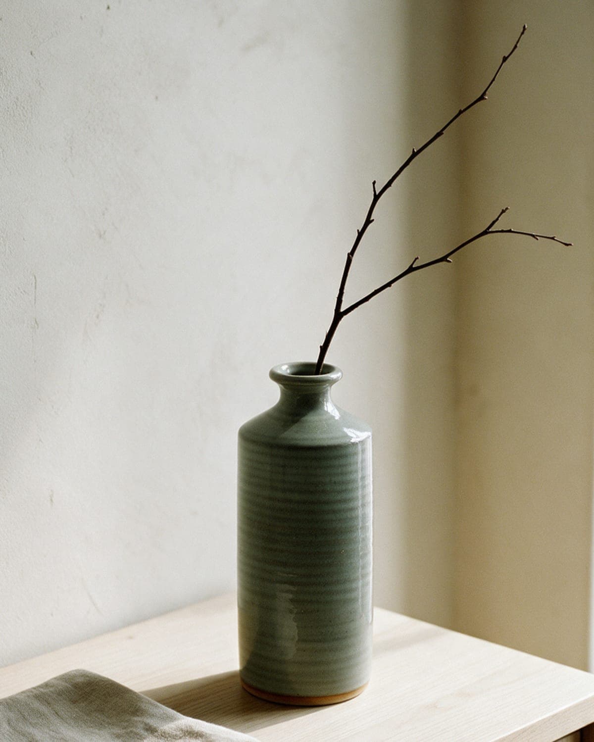 Vessel No. 4 / Stoneware / ash or tenmoku