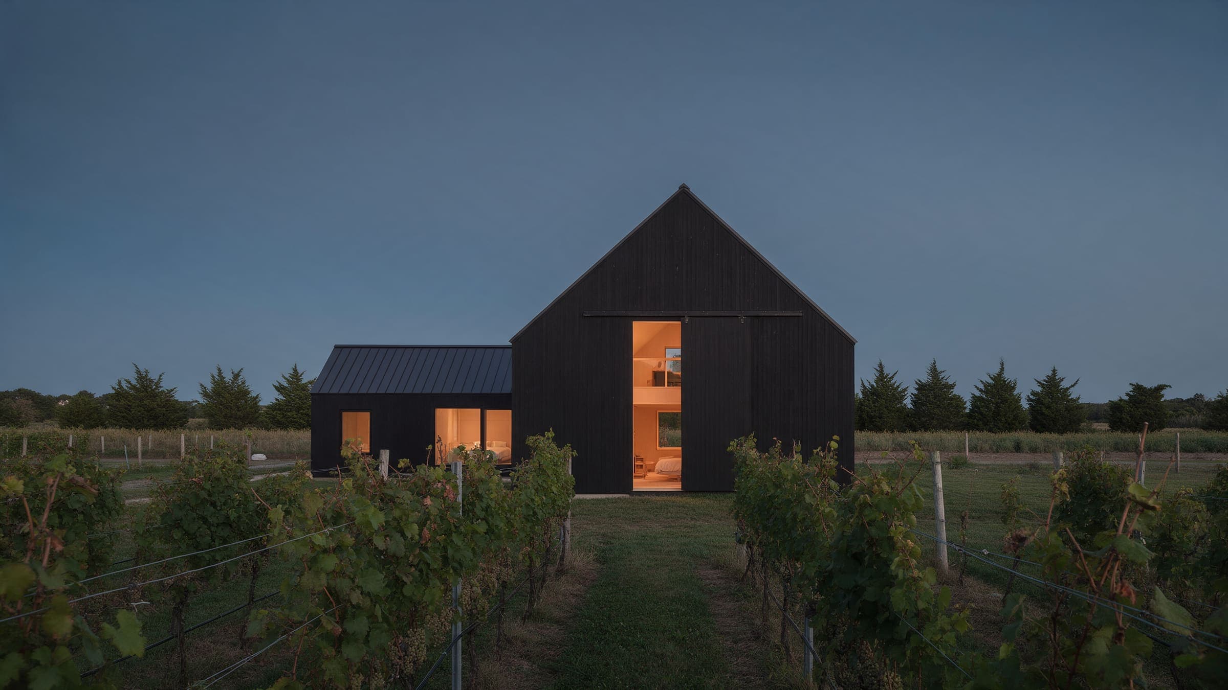Vineyard Barn House at dusk, a black barn form at the end of the vine rows with its tall door lit.
