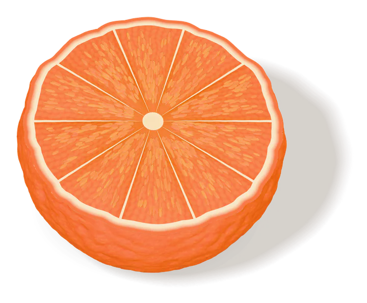 The lower half of a cut orange seen from above: its ring of ten segments inside the peel.