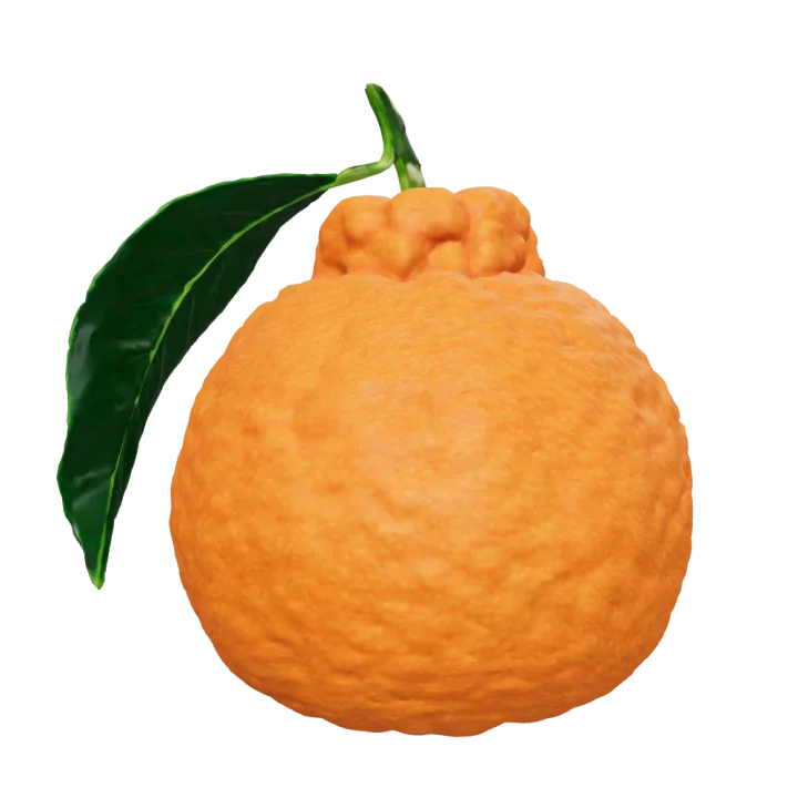 A whole orange seen from the outside: its textured peel and leaf.